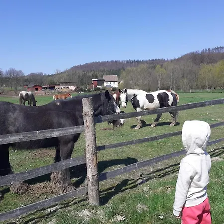 Ferienhaus Otulina Dom W Gorach Stolowych Pod Szczelincem Pogranicze Pl-Cz Radkow