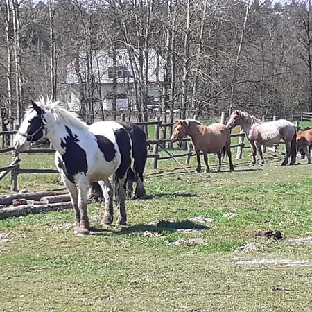 Otulina Dom W Gorach Stolowych Pod Szczelincem Pogranicze Pl-Cz