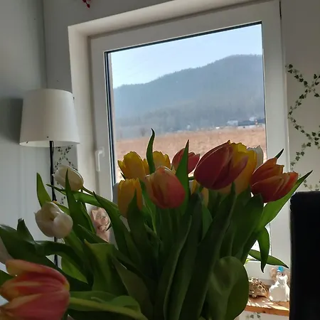 펜션 Otulina - Dom U Podnoza Gor Stolowych