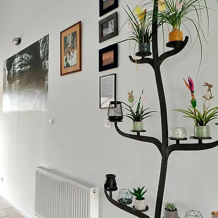 펜션 Otulina - Dom U Podnoza Gor Stolowych