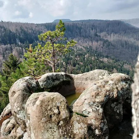 Otulina Dom W Gorach Stolowych Pod Szczelincem Pogranicze Pl-Cz