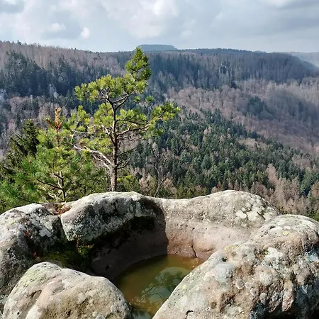 度假居 Otulina Widokowy Dom W Gorach Stolowych *
