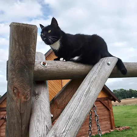 بيت للعطل Otulina - Dom U Podnoza Gor Stolowych رادكوف