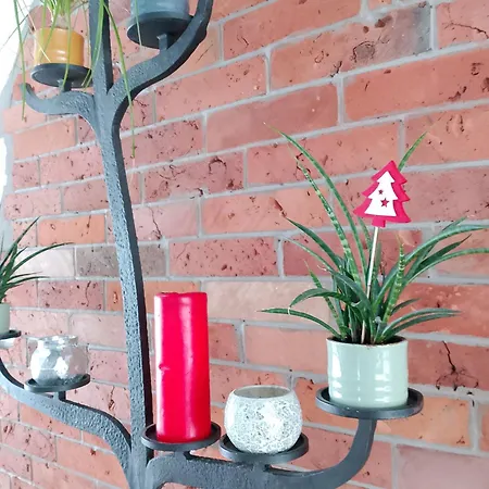 بيت للعطل Otulina - Dom U Podnoza Gor Stolowych رادكوف